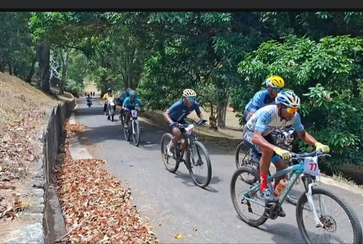 Forest Canopy Ride